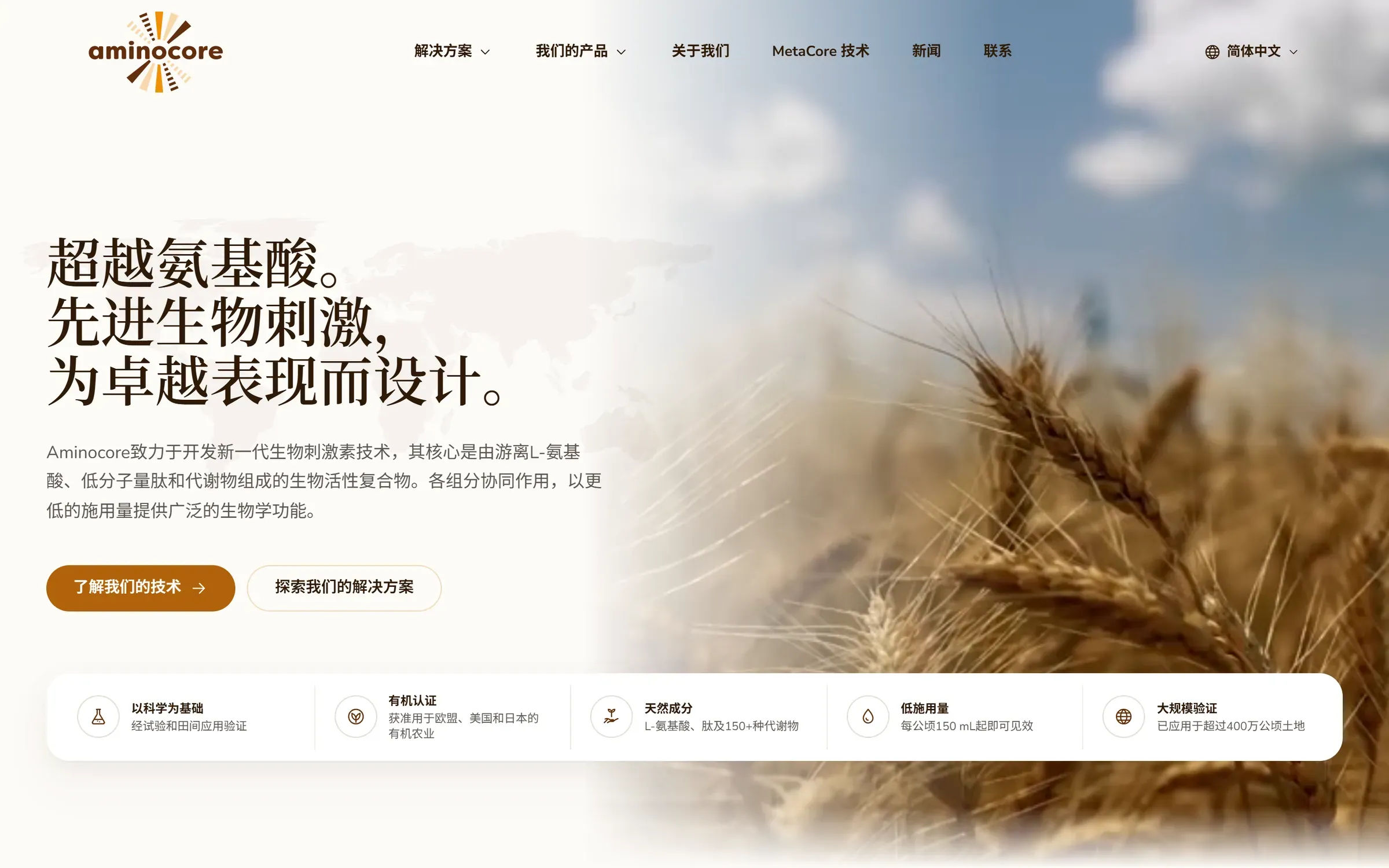 De vereenvoudigd Chinese homepage van aminocore.nl, met vertaalde navigatie, kop en knoppen