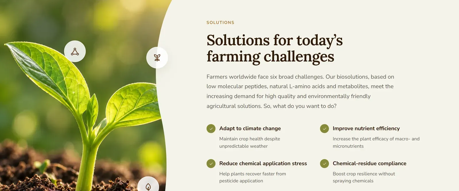 Solutions for today’s farming challenges op aminocore.nl: zes vragen van telers naast een foto van een kiemplant