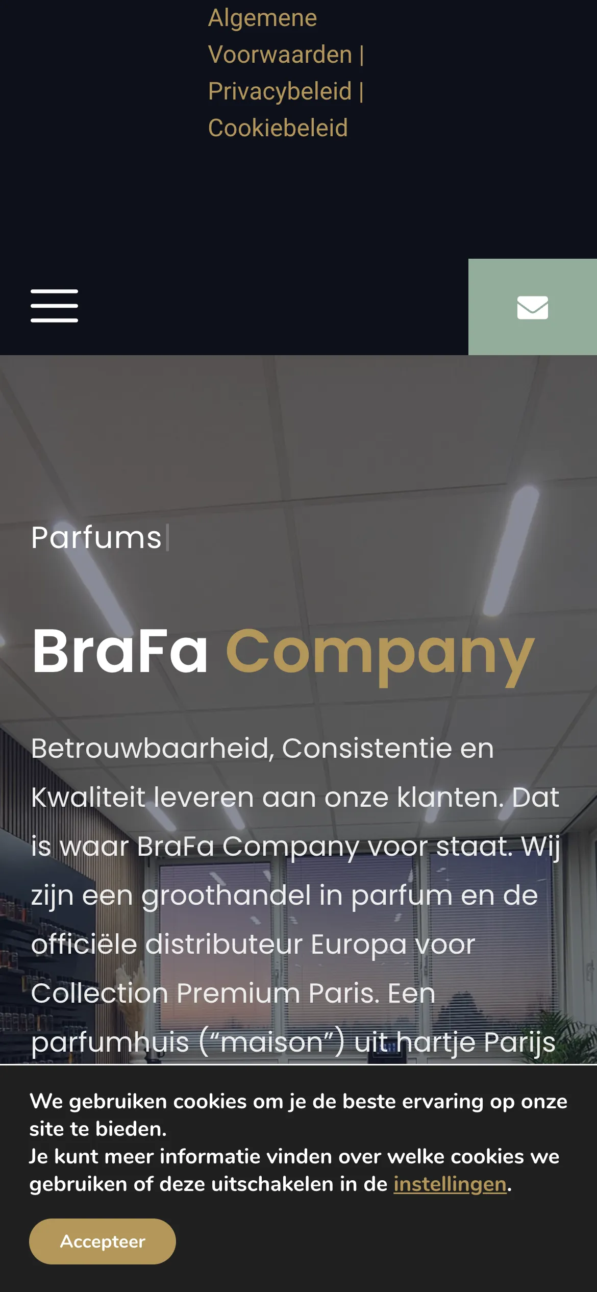 De website van BraFa Company op mobiel
